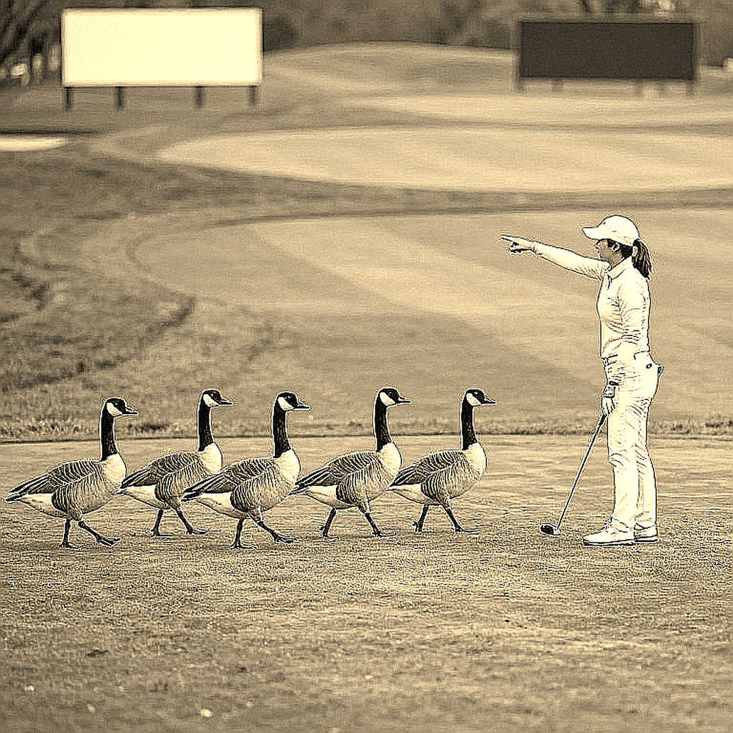 Bản đồ nhiệt thị trường áo khoác golf nữ Việt Nam: Khi nội dung thương mại lấn át tín hiệu kỹ thuật