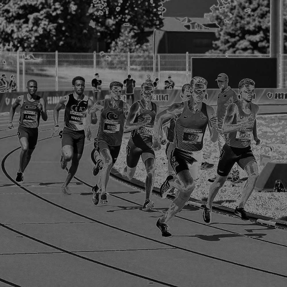 Global Gate Hạ Long ESG++ Marathon 2026: 15.000 bib, ba cự ly và một kỷ lục chưa ai xác nhận