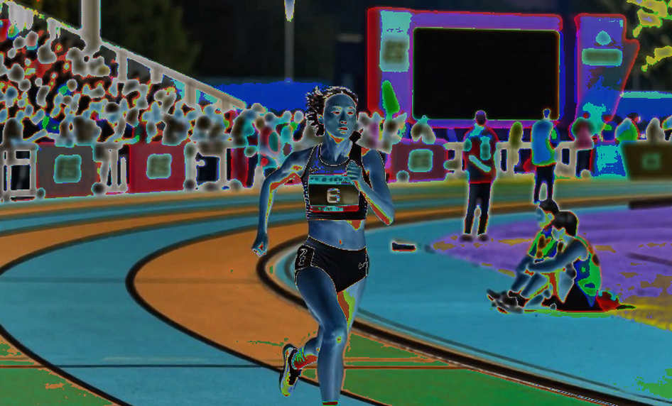 Global Gate Ha Long 2026: Re-reading the 15,000 Runner Figure Beneath a Heritage Bay