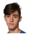 Gustavo Heide